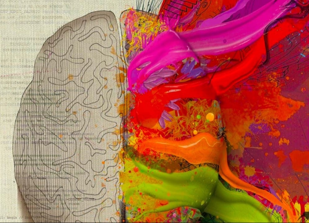 Trauma Informed Therapy Image of a brain